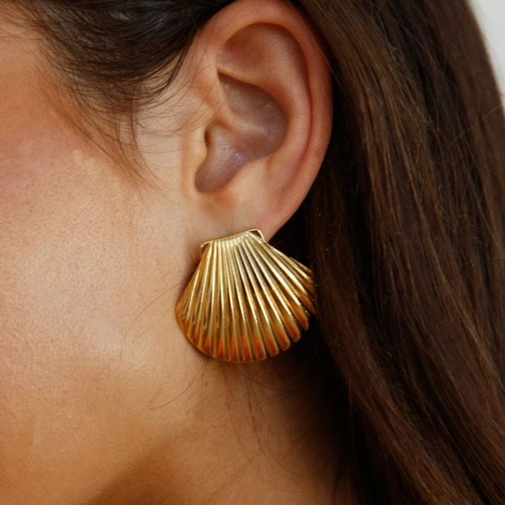Stainless Steel Earrings
